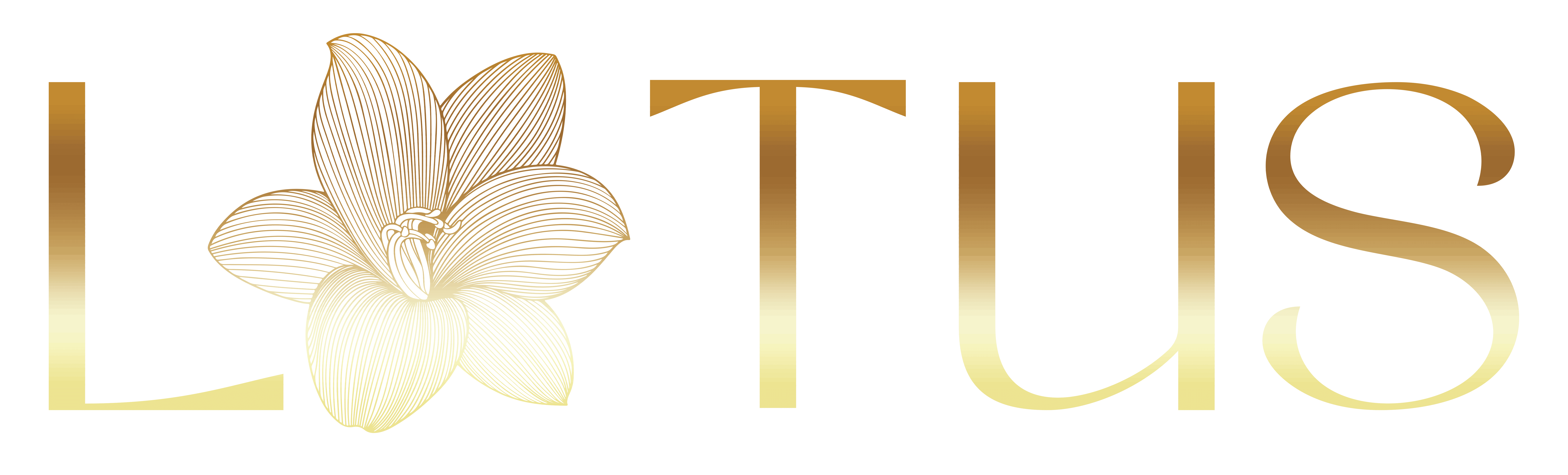 Lotus Creative Solutions